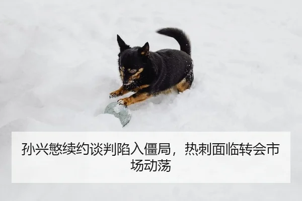 孙兴慜续约谈判陷入僵局，热刺面临转会市场动荡
